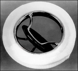 Mechanical Heart Valve Artificial Heart Valve